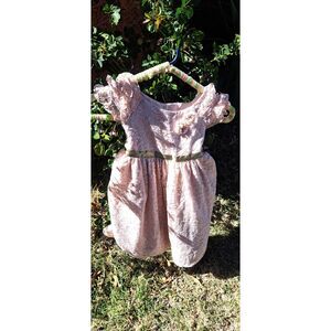 Beautiful Laura Ashley Little Girl Size 5 Blush Pink Lace Dress
